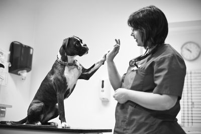 veterinaria con perro